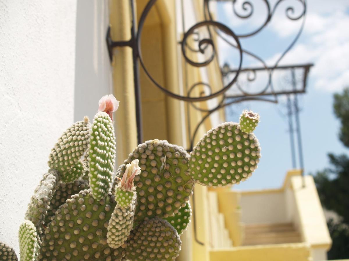 Sogni D'Oro Bed & Breakfast Grottaglie Bagian luar foto
